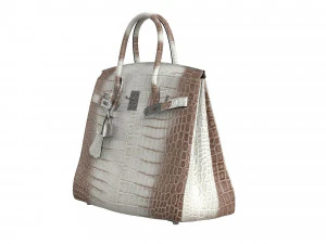 Bag Alligator White 3D Model