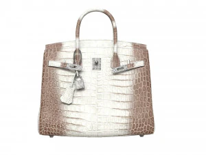 Bag Alligator White 3D Model