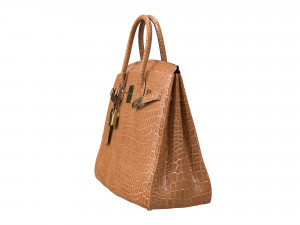 Bag Brown Alligator 3D Model