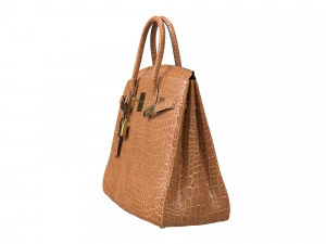 Bag Brown Alligator 3D Model