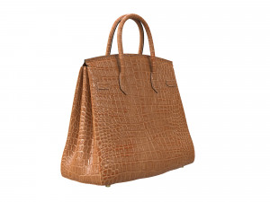 Bag Brown Alligator 3D Model