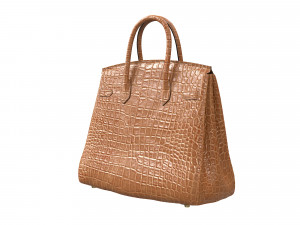 Bag Brown Alligator 3D Model