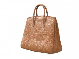 Bag Brown Alligator 3D Model