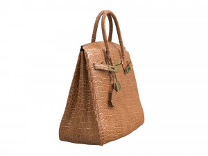 Bag Brown Alligator 3D Model