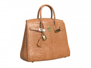 Bag Brown Alligator 3D Model