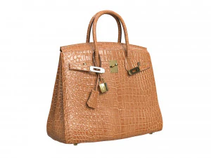 Bag Brown Alligator 3D Model