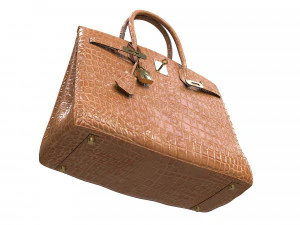 Bag Brown Alligator 3D Model