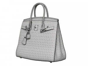 Bag Brown Alligator 3D Model