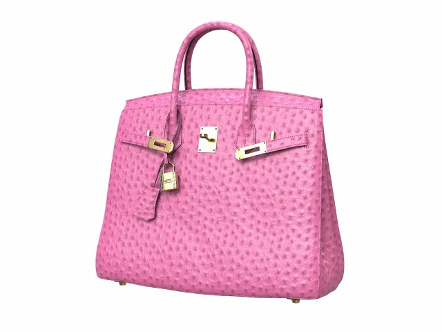 Birk Bag Pink Ostrich 3D Model .c4d .max .obj .3ds .fbx .stl .blend