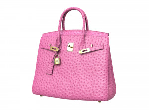 Birk Bag Pink Ostrich 3D मॉडल