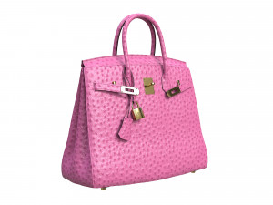 Birk Bag Pink Ostrich 3D मॉडल