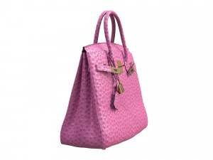 Birk Bag Pink Ostrich 3D Model