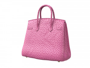 Birk Bag Pink Ostrich 3D मॉडल