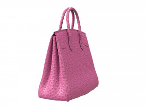 Birk Bag Pink Ostrich 3D मॉडल