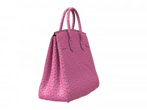 Birk Bag Pink Ostrich 3D Model