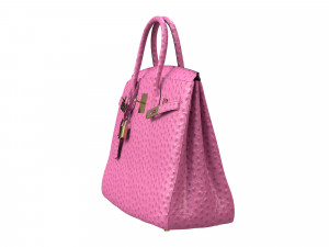 Birk Bag Pink Ostrich 3D मॉडल