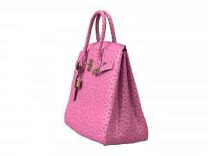 Birk Bag Pink Ostrich 3D Model