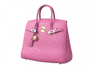 Birk Bag Pink Ostrich 3D मॉडल