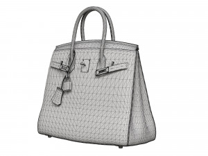 Birk Bag Pink Ostrich 3D मॉडल