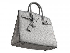 Birk Bag Pink Ostrich 3D मॉडल