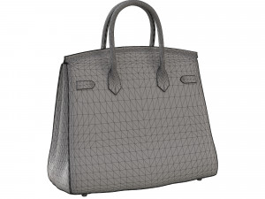 Birk Bag Pink Ostrich 3D मॉडल