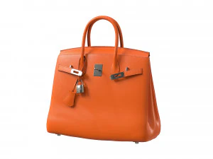 Sac Birk Orange Modèle 3D