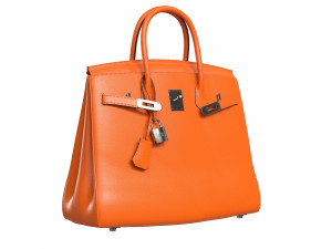 Birk Bag Orange 3D Model