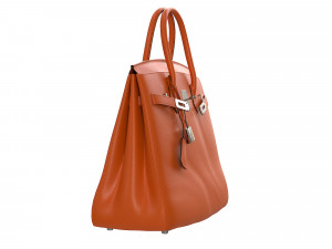 Birk Bag Orange 3D Model