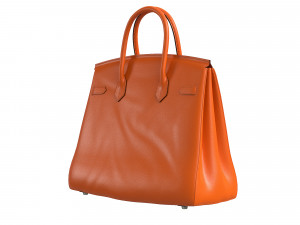 Birk Bag Orange 3D Model