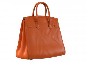 Birk Bag Orange 3D Model