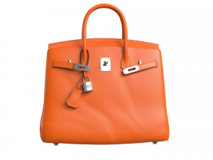 Birk Bag Orange 3D Model