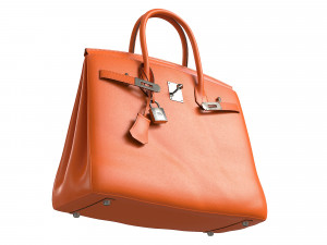 Birk Bag Orange 3D Model
