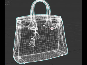 Birk Bag Orange 3D Model