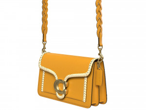 Tabby Ornament Shoulder Bag Yellow 3D 模型