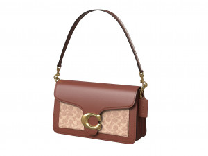 Tabby Shoulder Bag Brown Modello 3D