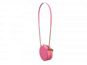 Bag Round Earth Big Logo Pink 3D Model