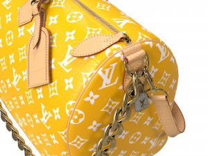 Pharrell Williams Millionaire Speedy Bag 3D Model