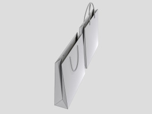 Gift Packaging Paper Bags 3D मॉडल