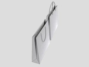 Gift Packaging Paper Bags 3D Model