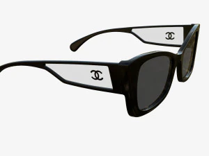 Rectangle Acetate Sunglasses 5430 3D Model