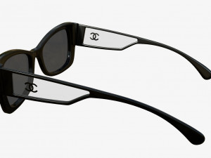 Rectangle Acetate Sunglasses 5430 3D Model