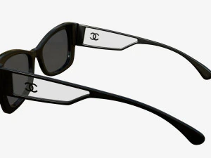 Rectangle Acetate Sunglasses 5430 3D Model