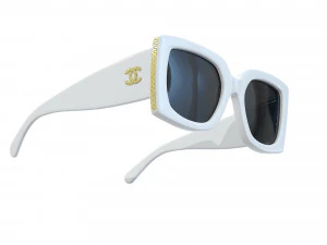 Rectangle Sunglasses Acerate 3D Model
