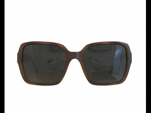 5408 Square Acetate Sunglasses 3D Model