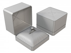 Ring with Red Box 3D Model