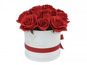 Caixa de buqu&ecirc; de rosas vermelhas com la&ccedil;o Modelo 3D