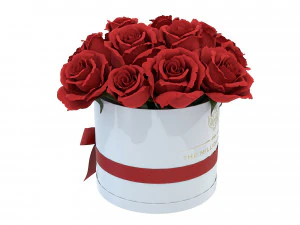 Caixa de buqu&ecirc; de rosas vermelhas com la&ccedil;o Modelo 3D