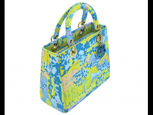 Small Lady Bag Blue Multicolor 3D Model