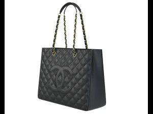 Logo Classic Shopping Tote 3D Model