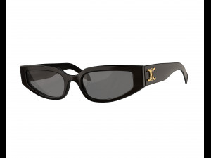 Triomphe 12 Sunglasses Model 3D
